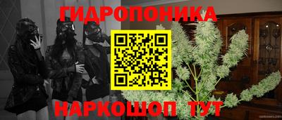 PSILOCYBIN Бугуруслан