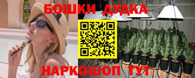 PSILOCYBIN Бугуруслан