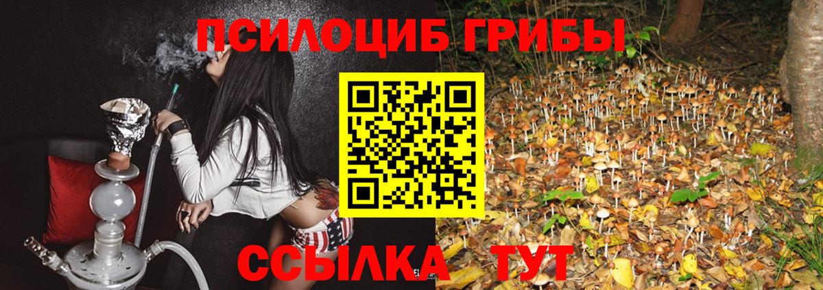 Лянтор  наркотики  Вход с VPN  Псилоцибиновые грибы мицелий 